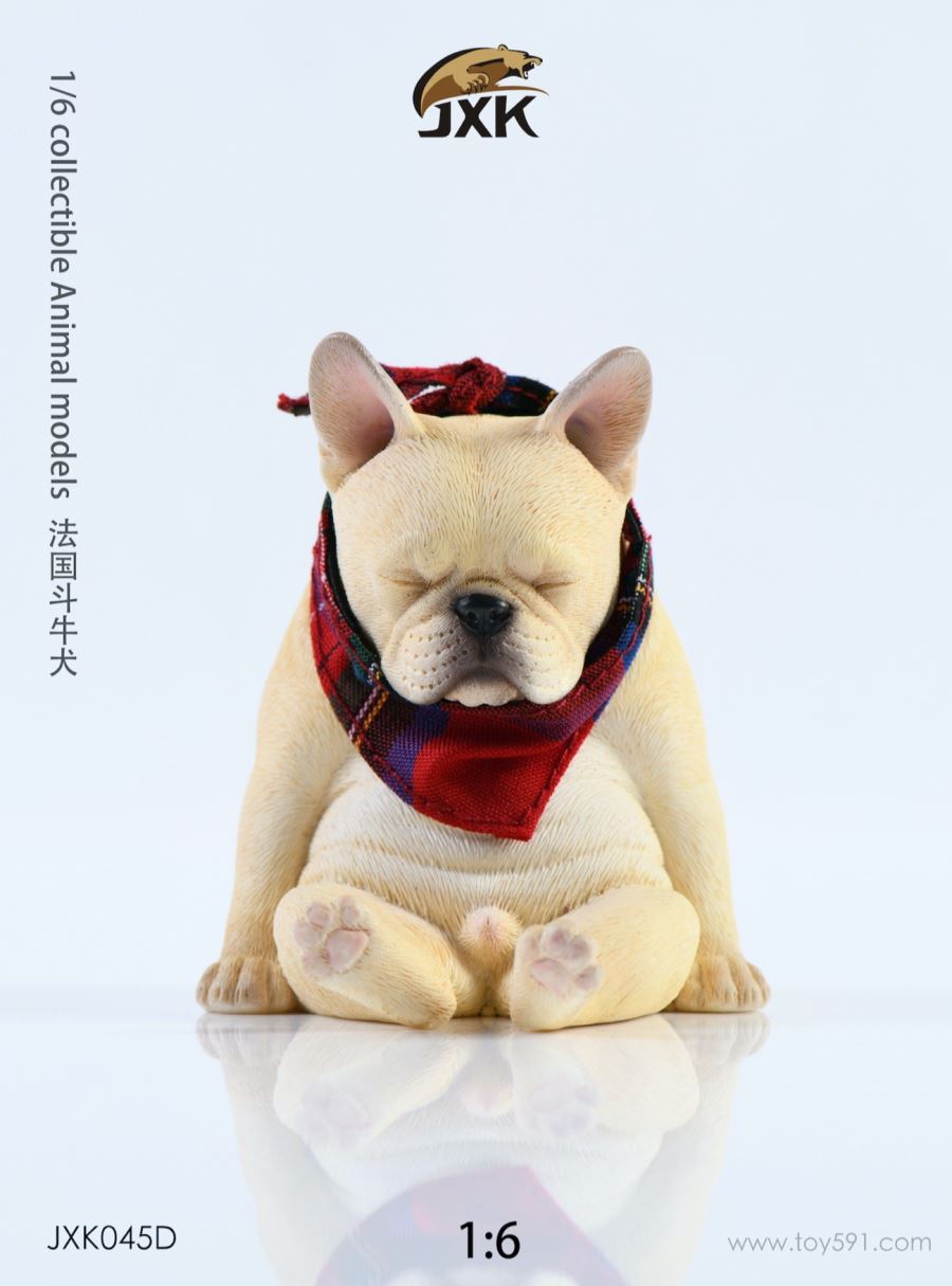 French bulldog