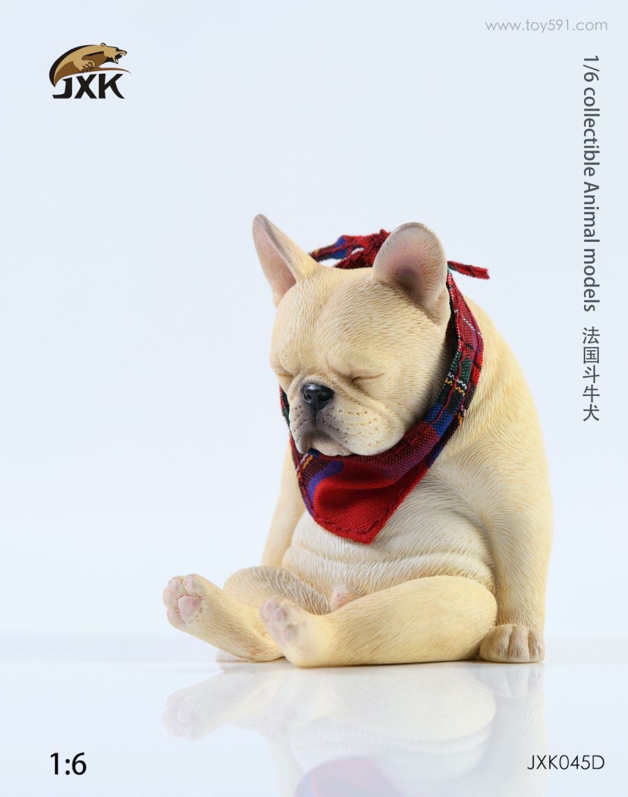 French bulldog