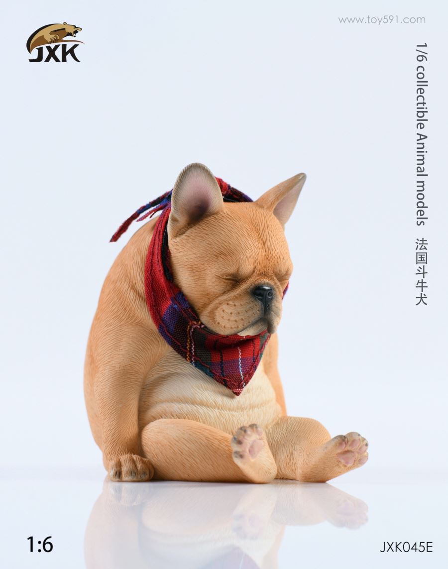 French bulldog