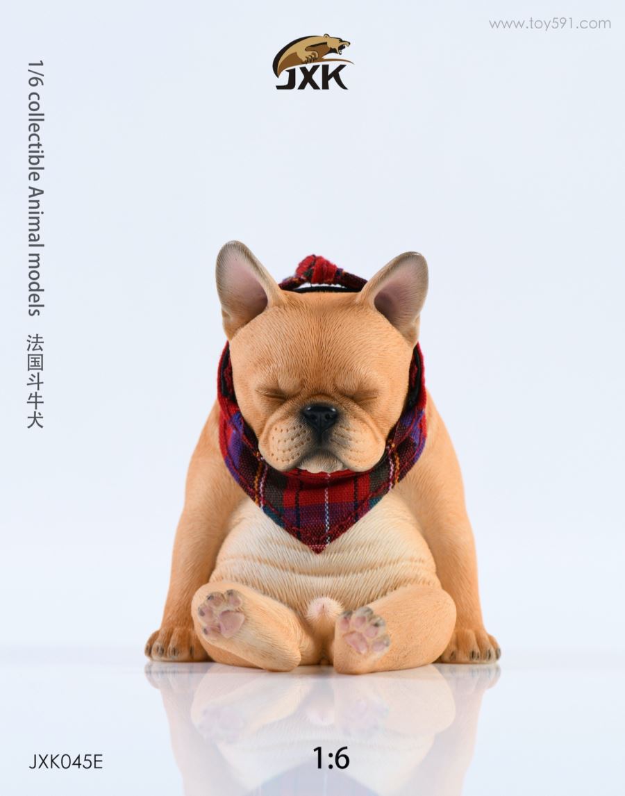 French bulldog