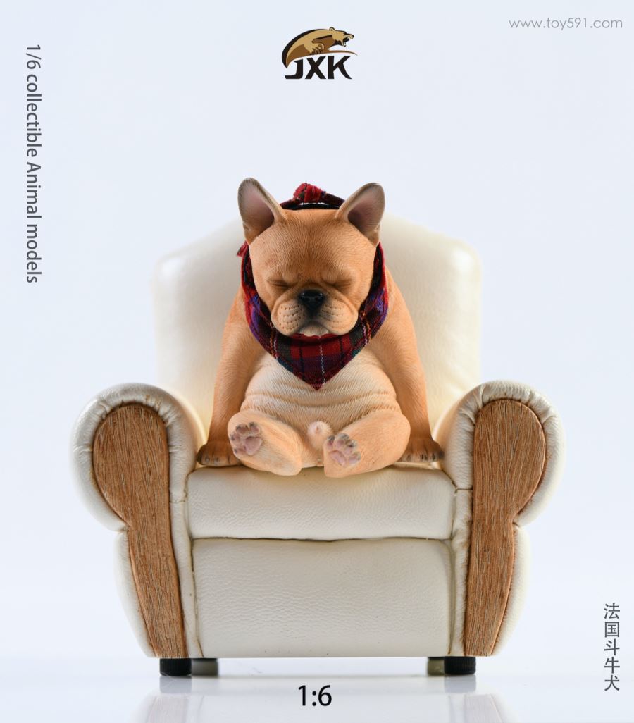 French bulldog