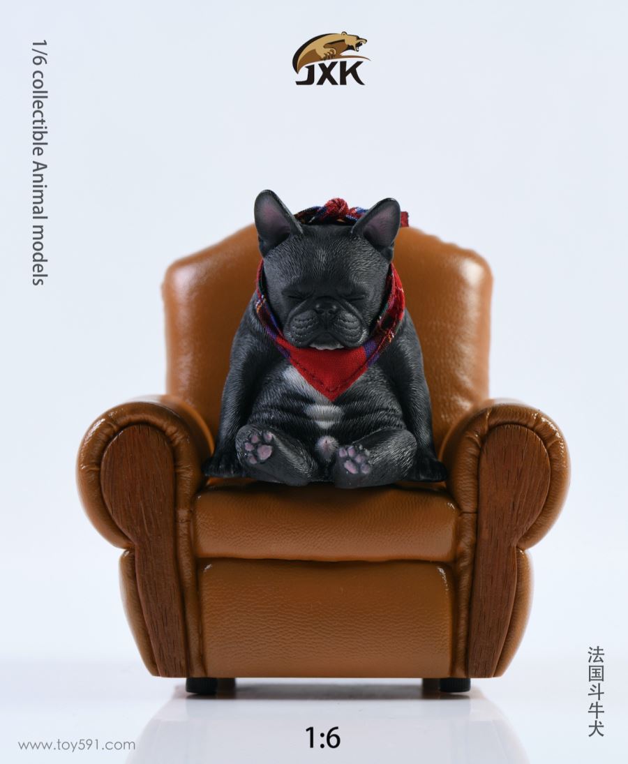 French bulldog