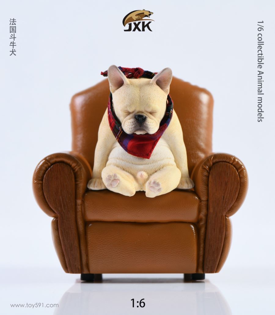 French bulldog