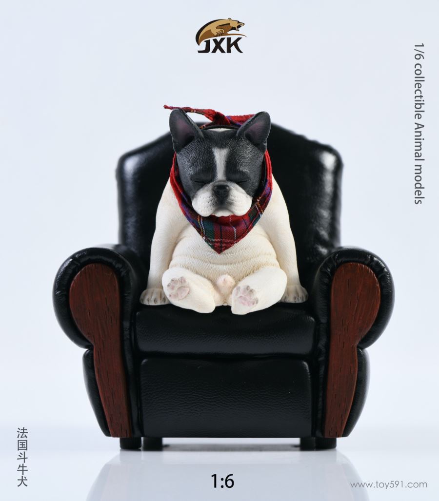 French bulldog