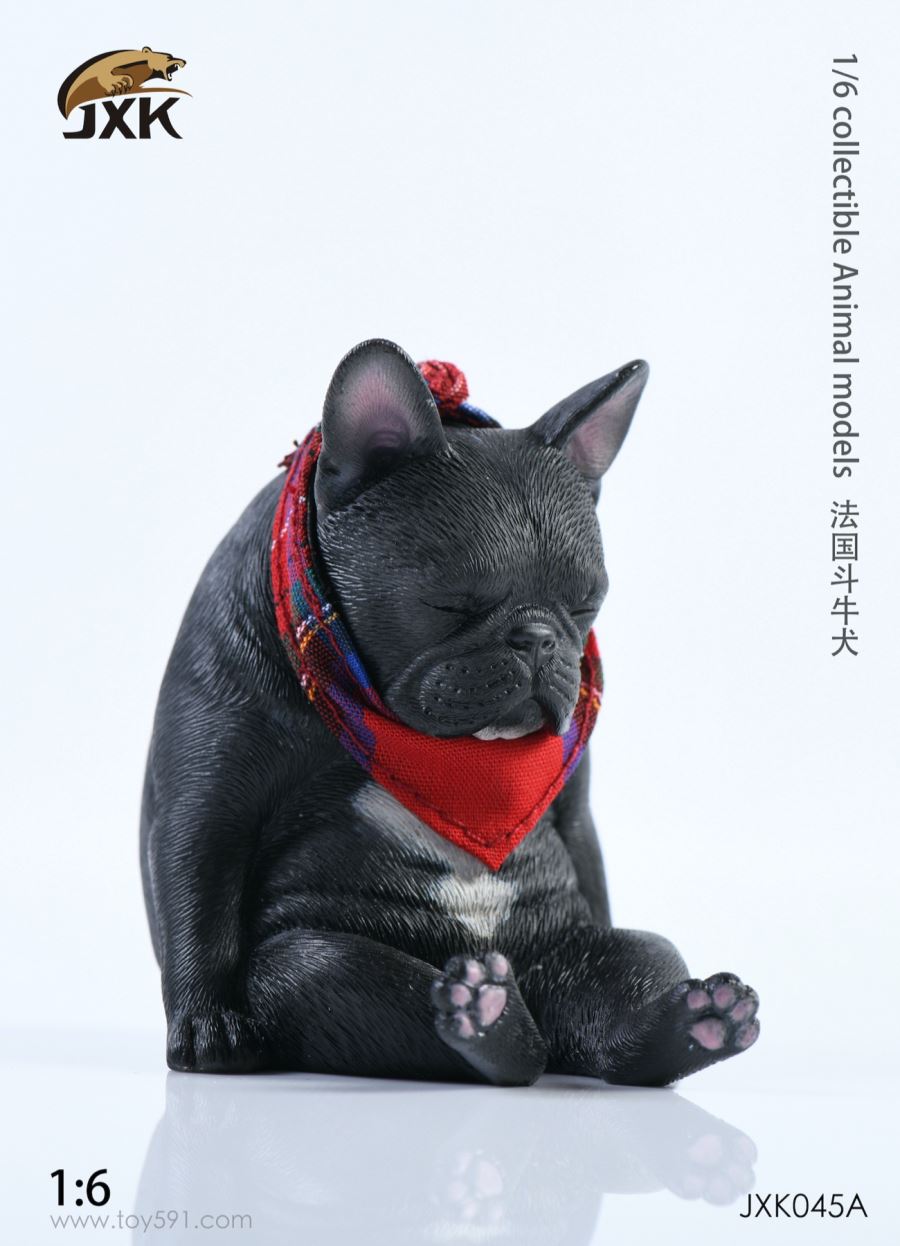 French bulldog