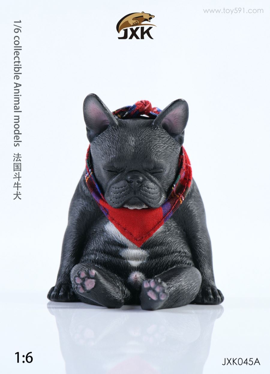 French bulldog