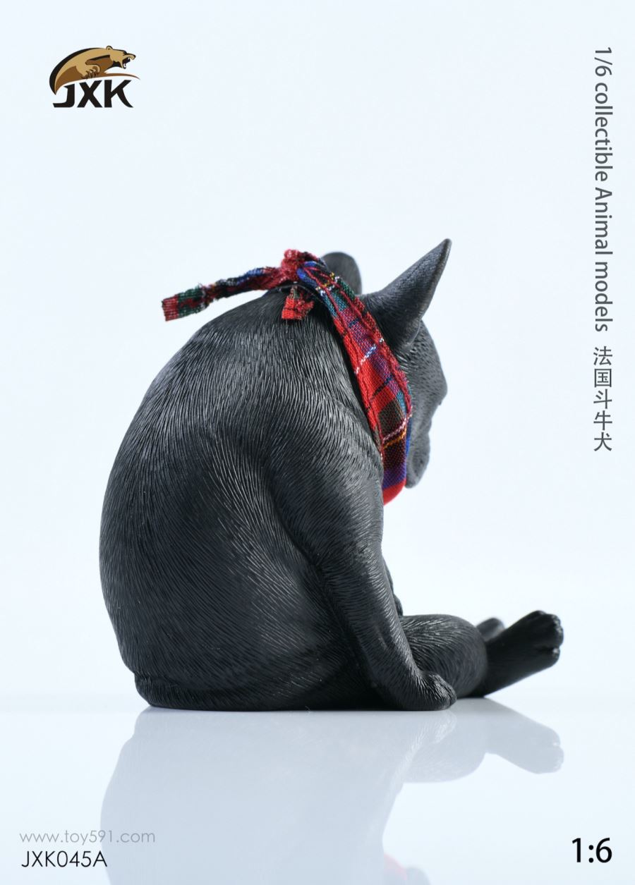 French bulldog