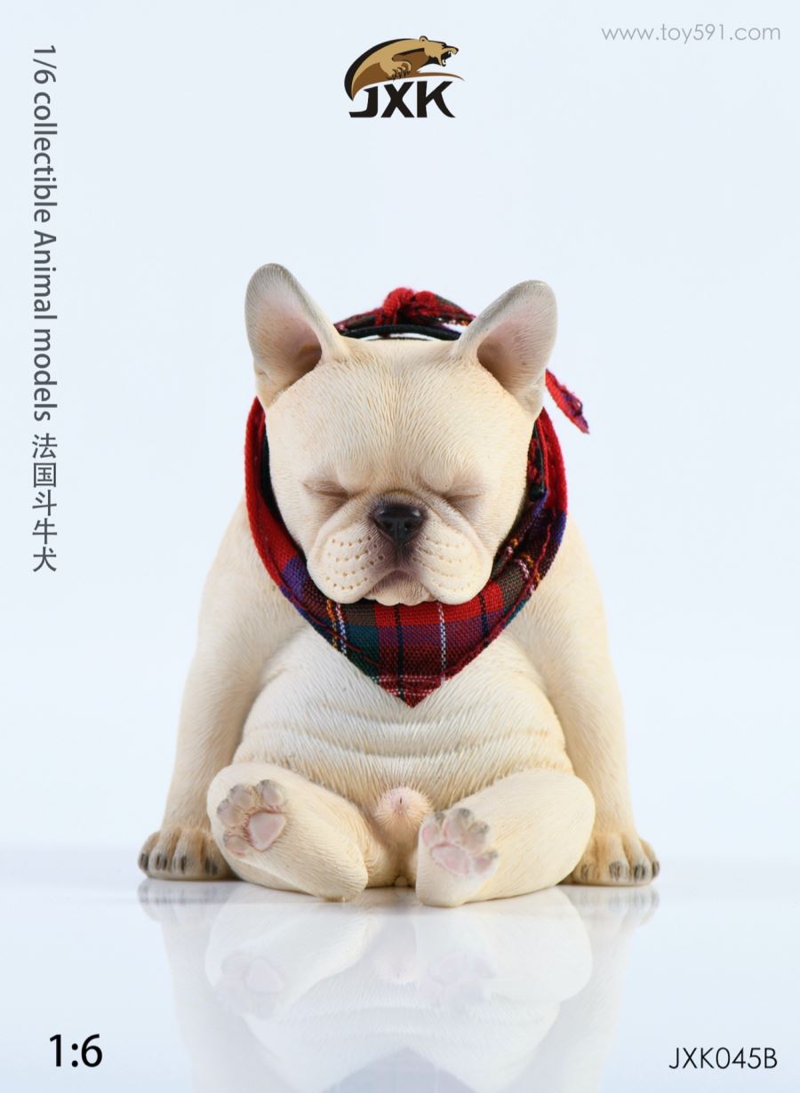 French bulldog