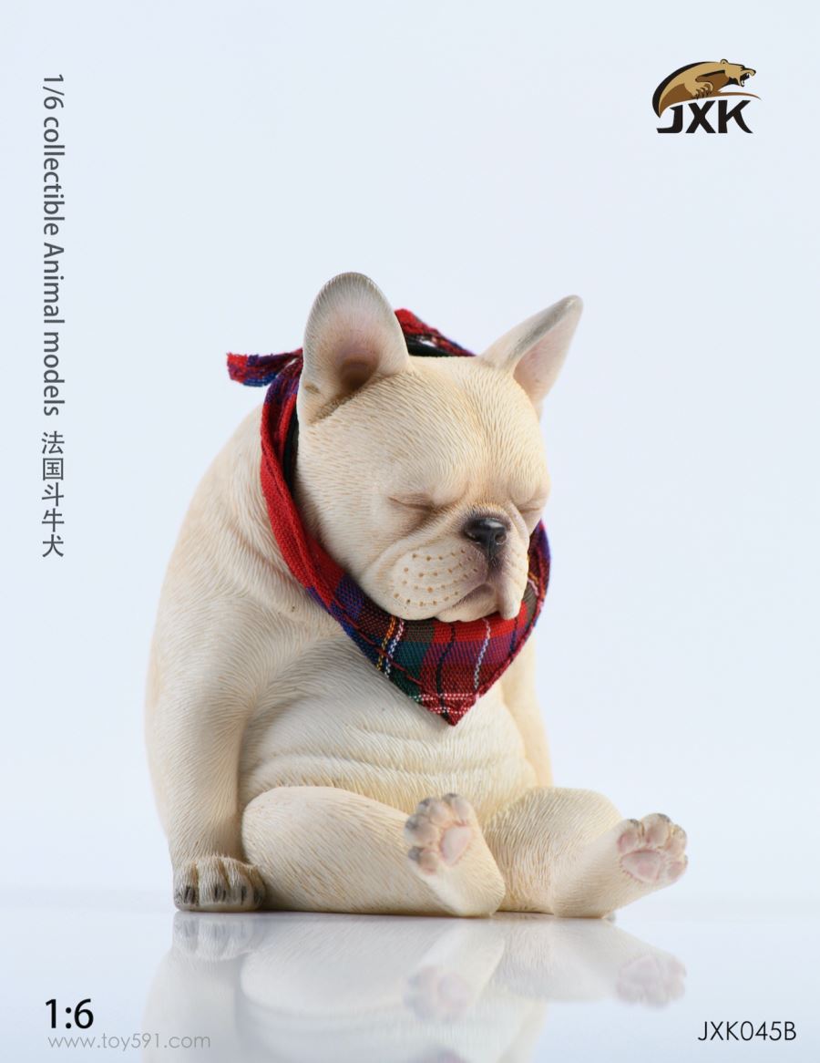 French bulldog