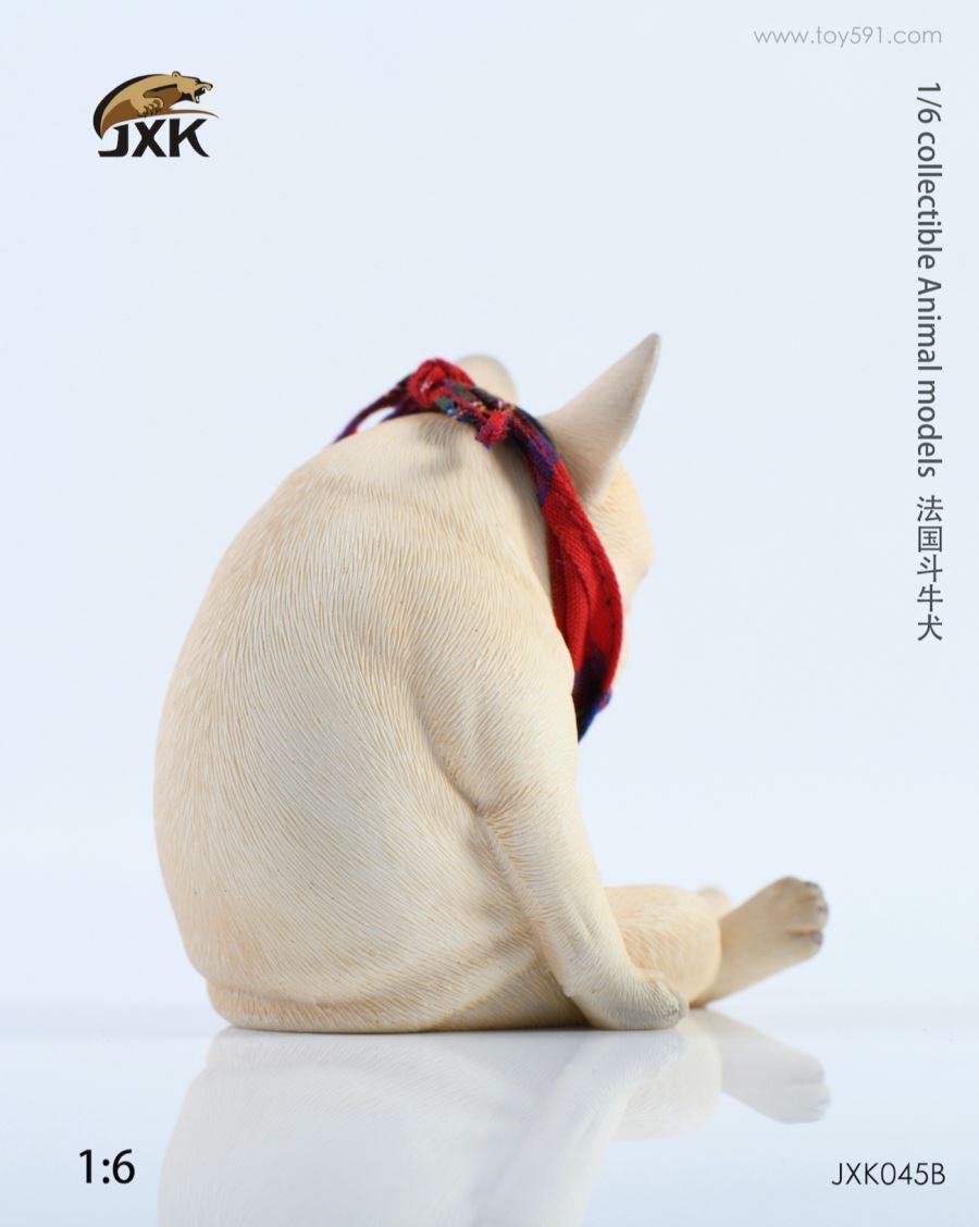 French bulldog