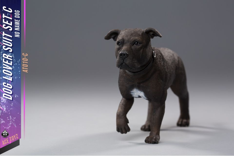 1/6 : Dog Lover Suit set