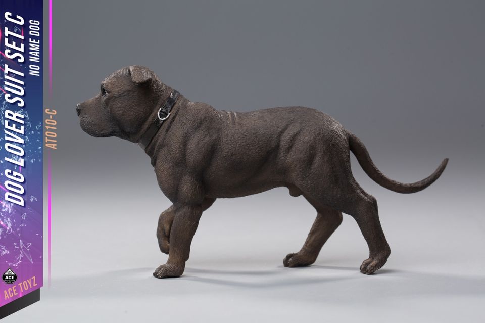 1/6 : Dog Lover Suit set