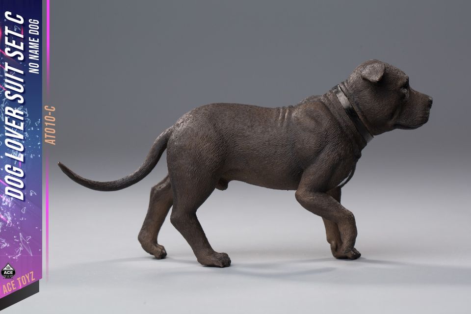 1/6 : Dog Lover Suit set