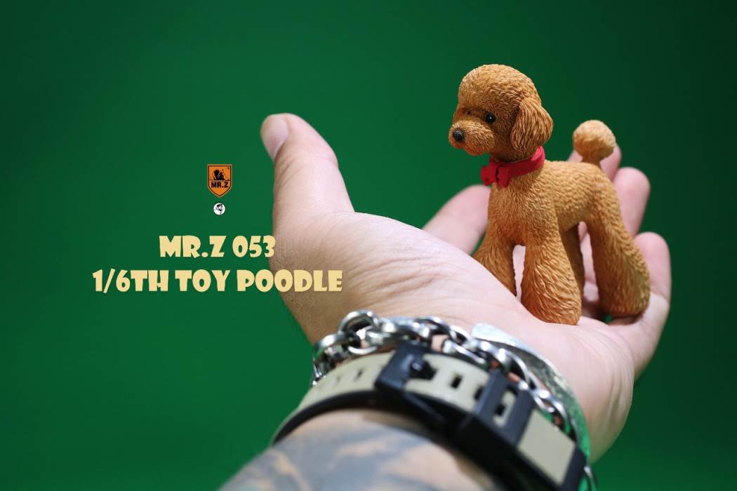 Animal Model NO. 53 ,Toy Poodle