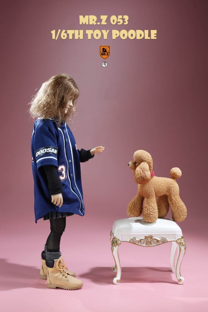 Animal Model NO. 53 ,Toy Poodle