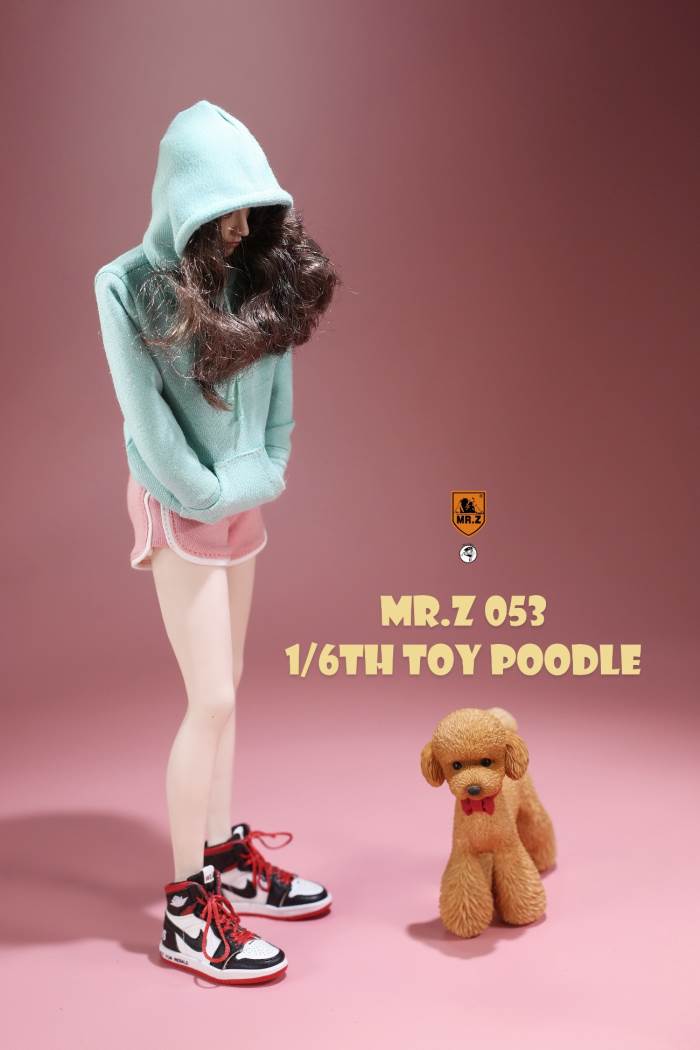 Animal Model NO. 53 ,Toy Poodle