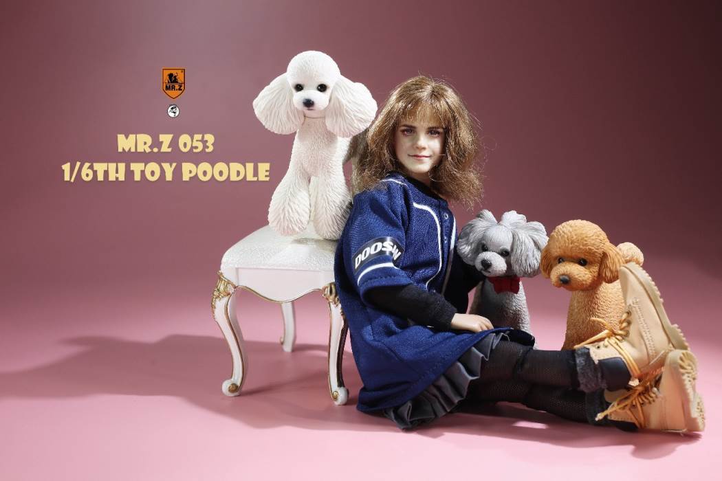 Animal Model NO. 53 ,Toy Poodle
