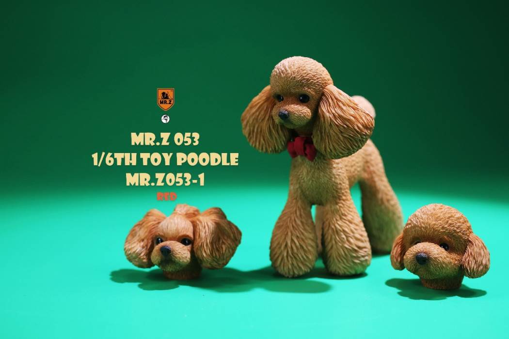 Animal Model NO. 53 ,Toy Poodle