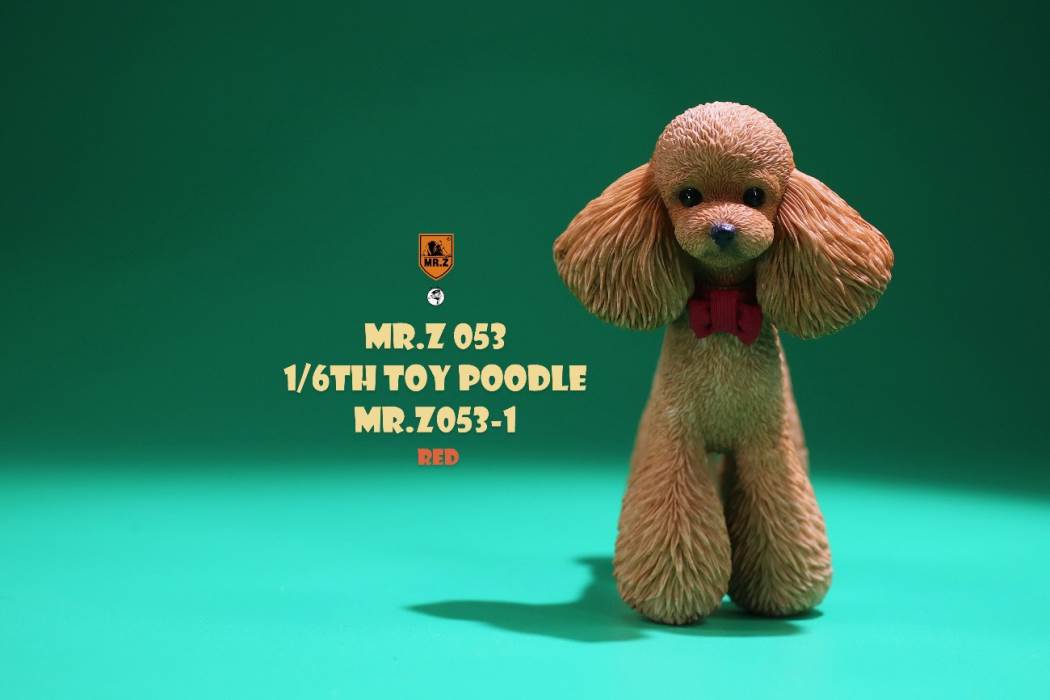Animal Model NO. 53 ,Toy Poodle