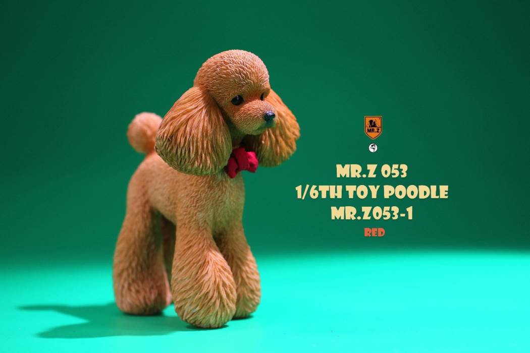Animal Model NO. 53 ,Toy Poodle