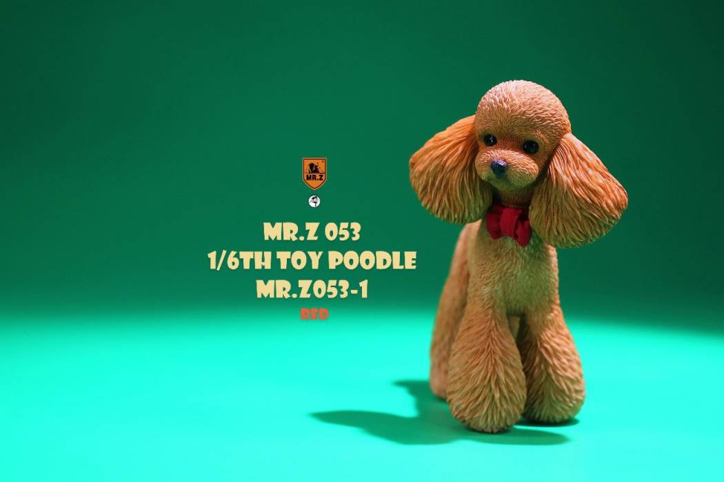 Animal Model NO. 53 ,Toy Poodle
