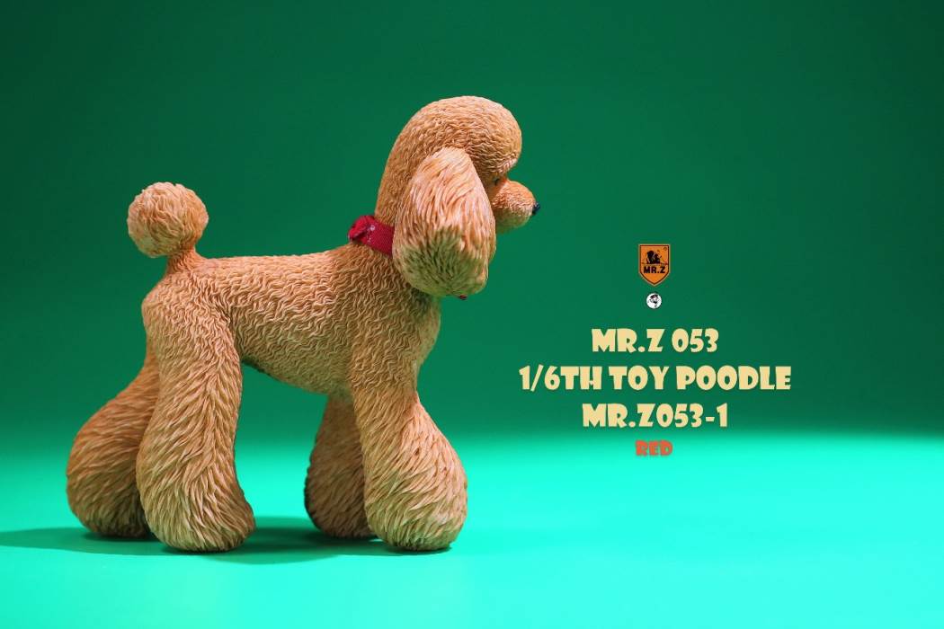 Animal Model NO. 53 ,Toy Poodle