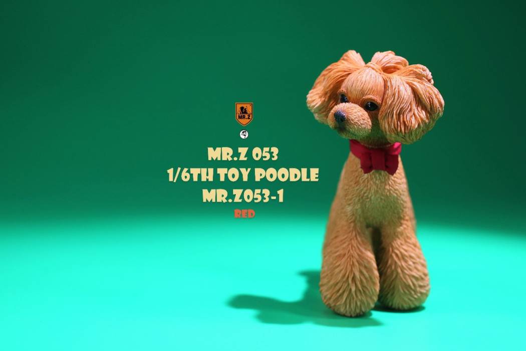 Animal Model NO. 53 ,Toy Poodle