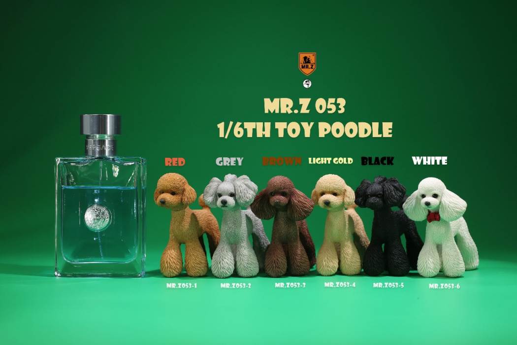 Animal Model NO. 53 ,Toy Poodle