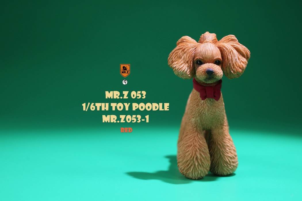 Animal Model NO. 53 ,Toy Poodle