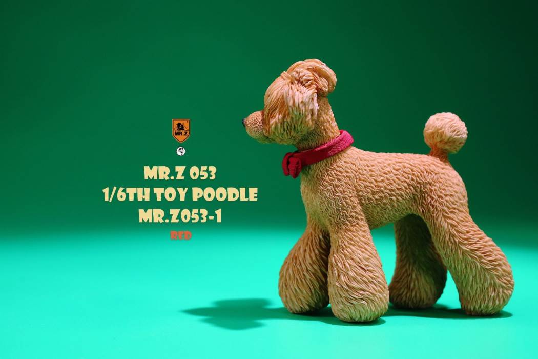 Animal Model NO. 53 ,Toy Poodle