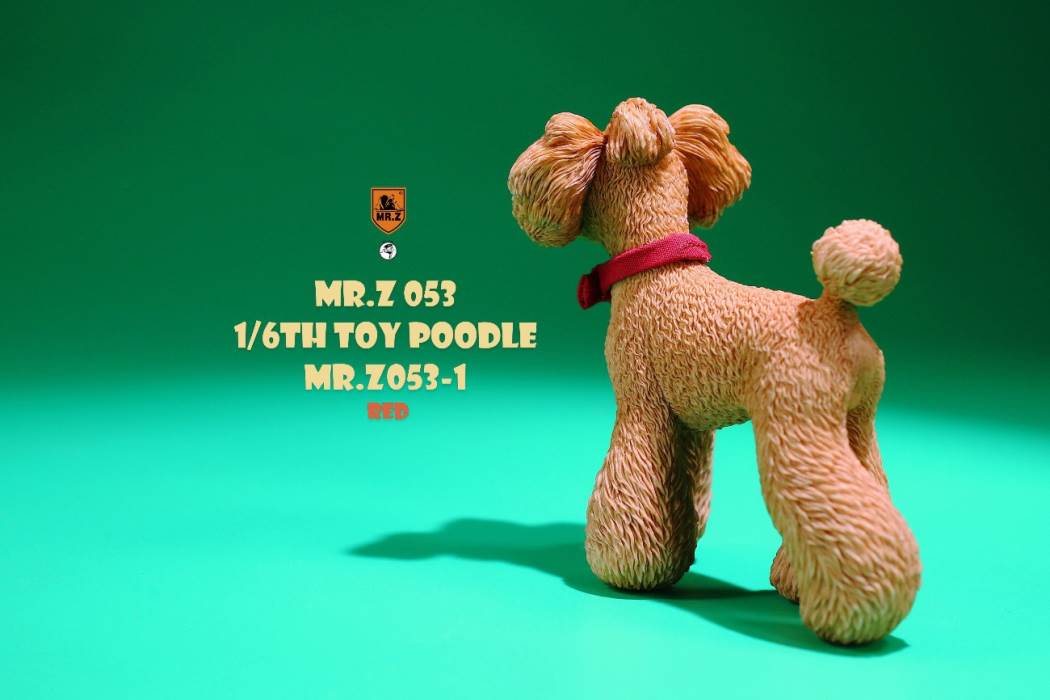 Animal Model NO. 53 ,Toy Poodle