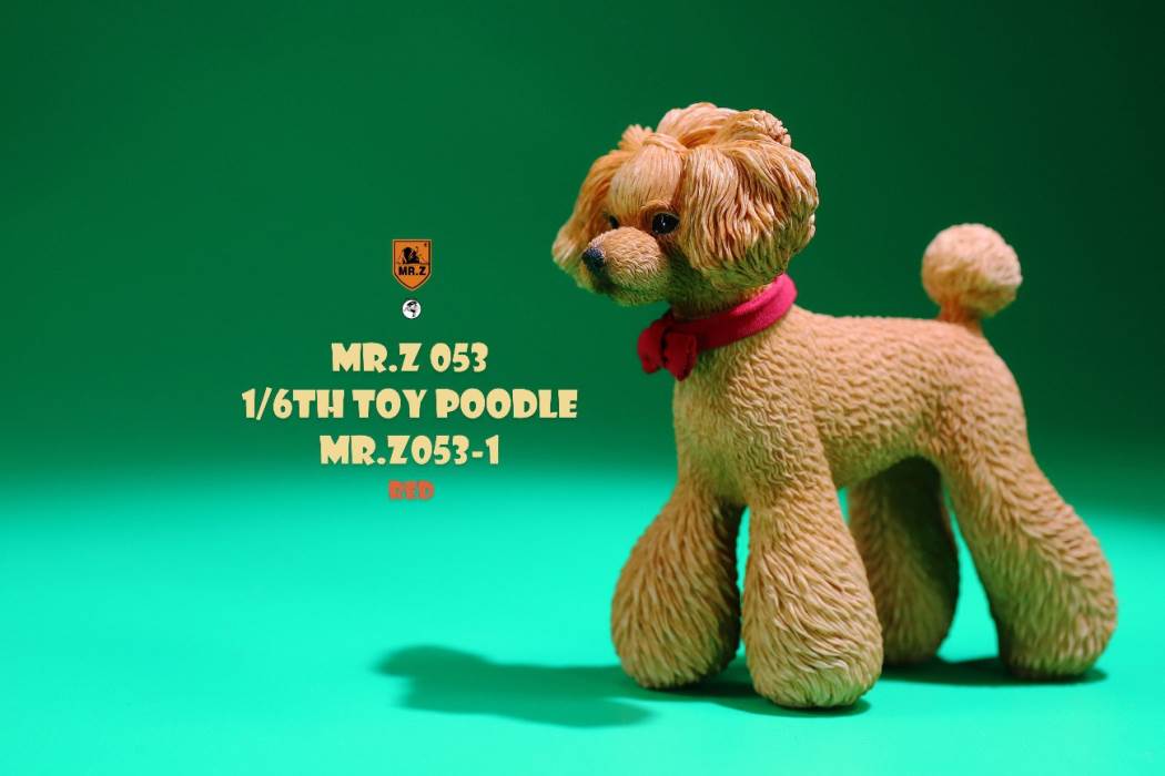 Animal Model NO. 53 ,Toy Poodle