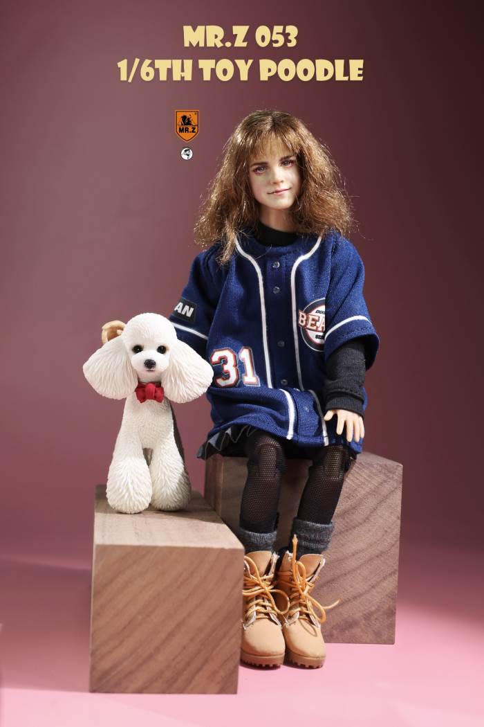 Animal Model NO. 53 ,Toy Poodle