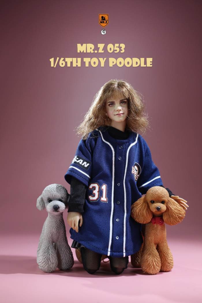 Animal Model NO. 53 ,Toy Poodle
