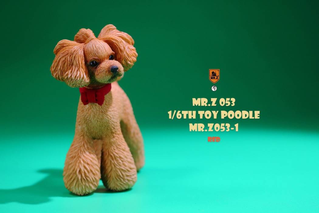 Animal Model NO. 53 ,Toy Poodle
