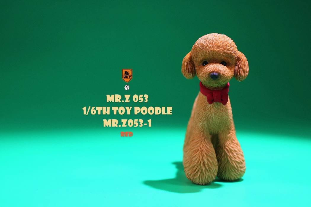 Animal Model NO. 53 ,Toy Poodle