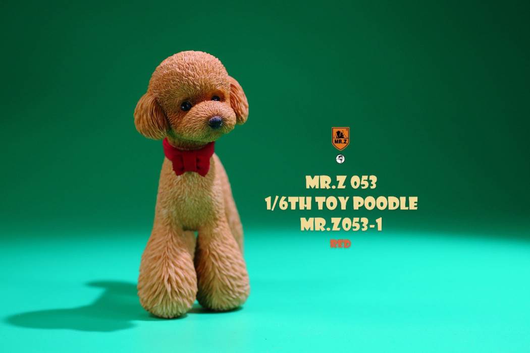 Animal Model NO. 53 ,Toy Poodle