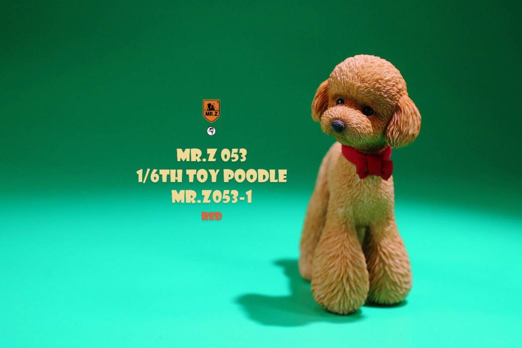 Animal Model NO. 53 ,Toy Poodle