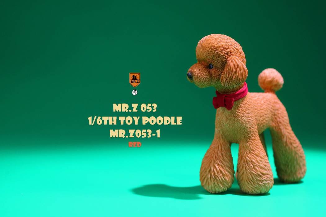 Animal Model NO. 53 ,Toy Poodle