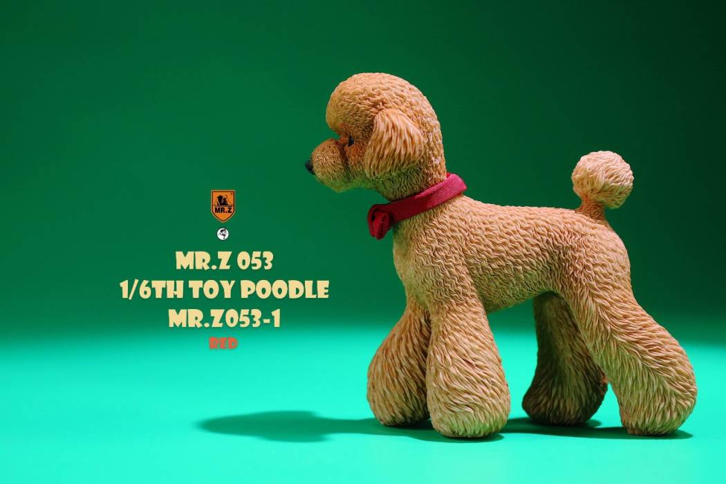 Animal Model NO. 53 ,Toy Poodle