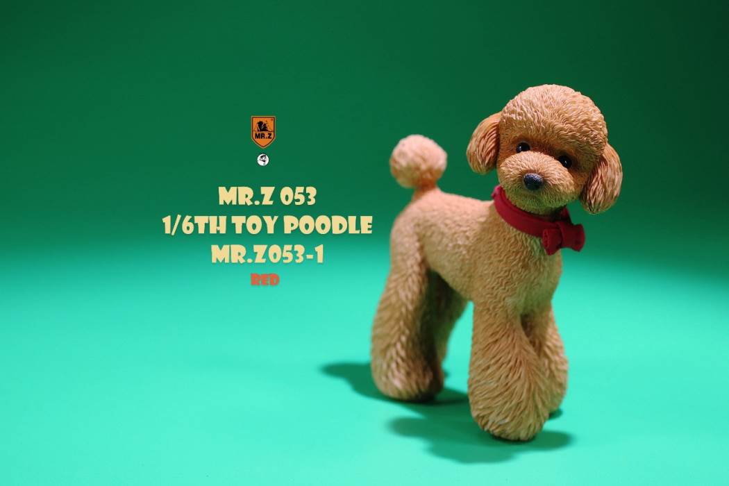 Animal Model NO. 53 ,Toy Poodle