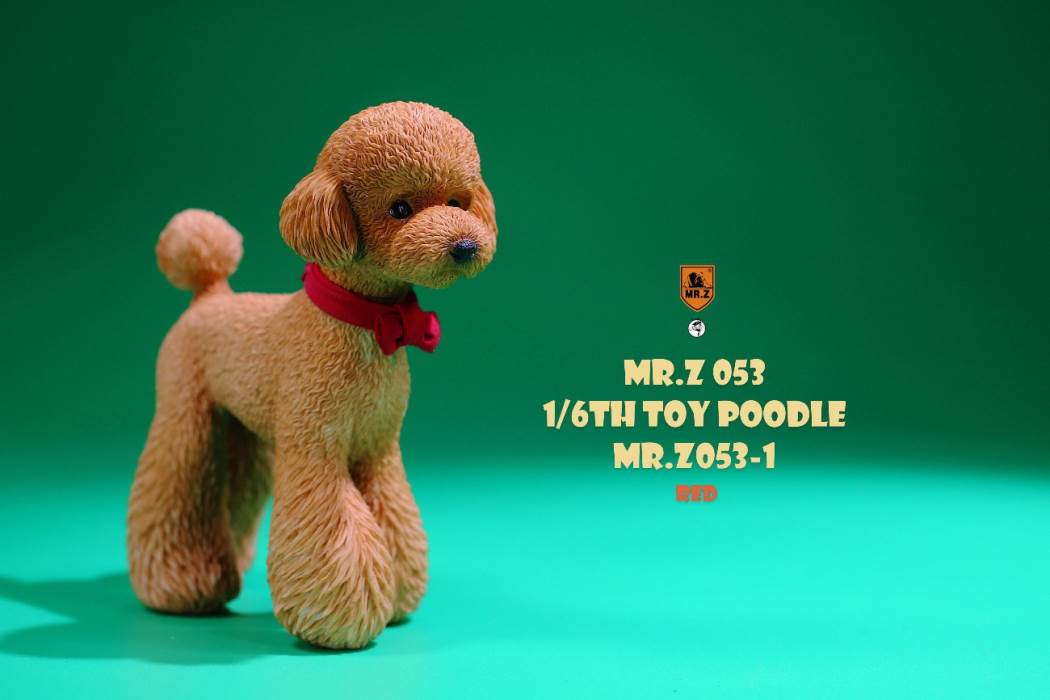 Animal Model NO. 53 ,Toy Poodle