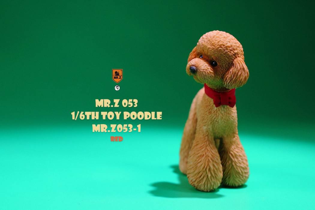 Animal Model NO. 53 ,Toy Poodle