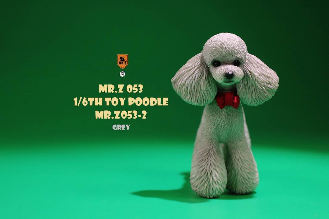 Animal Model NO. 53 ,Toy Poodle