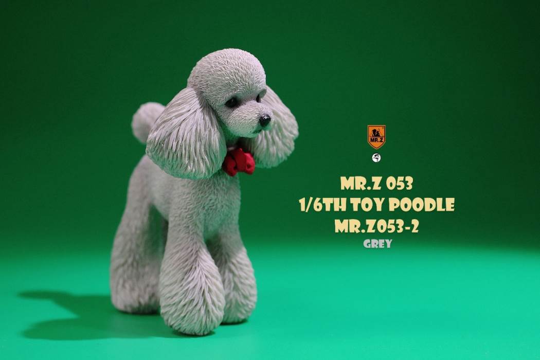 Animal Model NO. 53 ,Toy Poodle