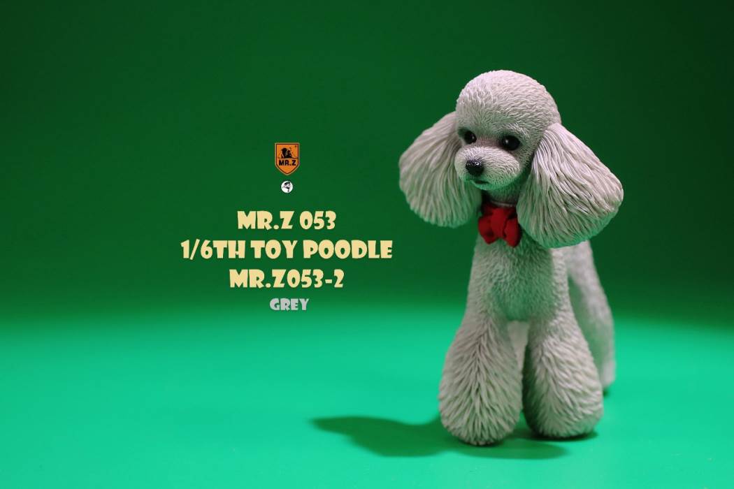 Animal Model NO. 53 ,Toy Poodle