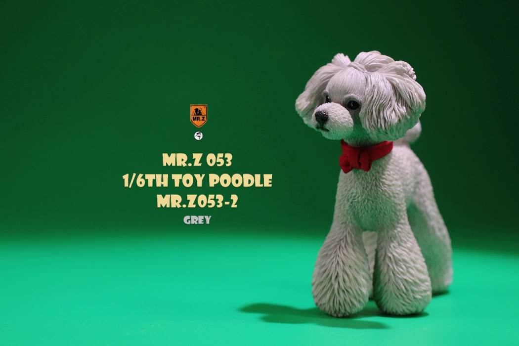 Animal Model NO. 53 ,Toy Poodle
