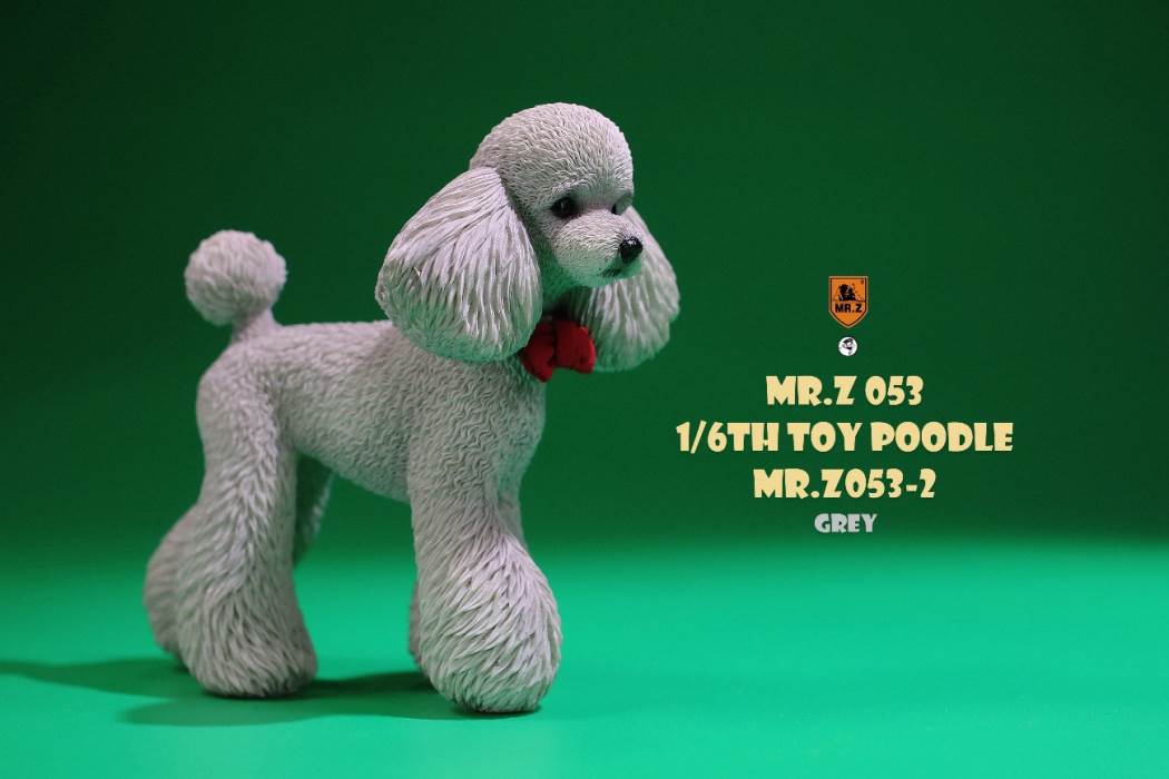 Animal Model NO. 53 ,Toy Poodle