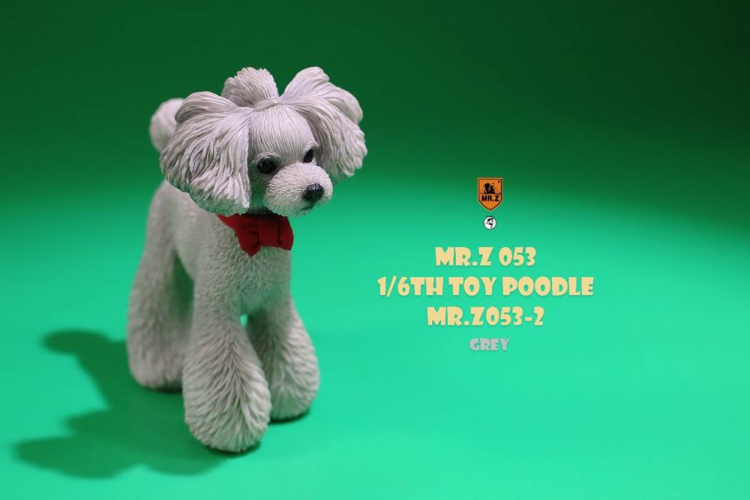 Animal Model NO. 53 ,Toy Poodle