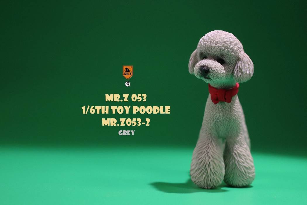 Animal Model NO. 53 ,Toy Poodle